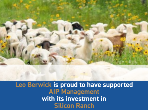 Leo Berwick supports AIP Management with its investment in Silicon Ranch