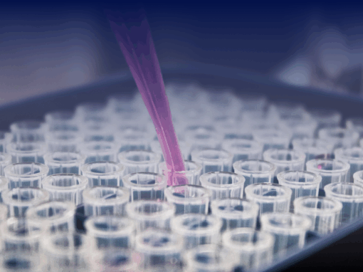 Leo Berwick supports Rovia Clinical Research, backed by Gauge Capital, in its acquisitions of StudyMetrix Research and Coastal Research Institute